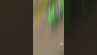 Download lagu Story Wa Cewek & Ninja mp3 Download lagu Story Wa Cewek & Ninja mp3