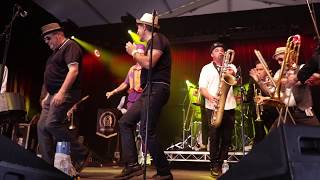 ONE YEAR OF SKA!!! | Nuevas versiones