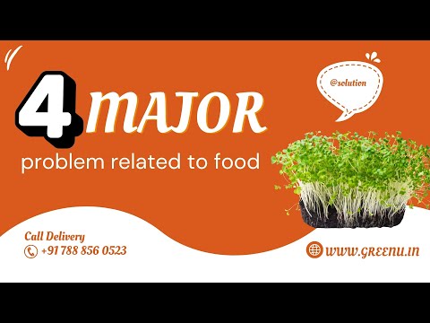 The Art of Simple Plating: Farm-to-Fork Perfection | Greenu Live Microgreens