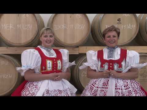 ŽADOVJÁCI - V tej starej forotě