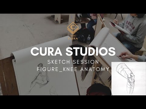 Weekly Sketch Session SUBJECT: Figure; FOCUS: Knee Anatomy
