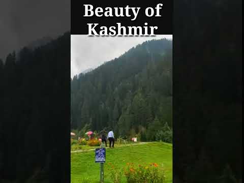 #shorts #beautyofkashmir #kashmir #nature #sudipti