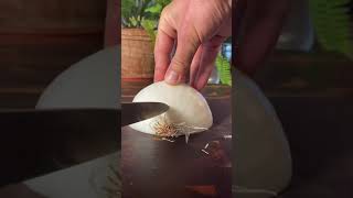 Julienne Onion ASMR Because Why Not