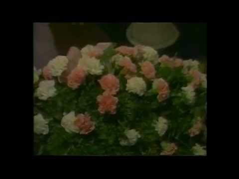 GH 04-04-84 Full Episode - Part 2