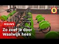 Na de deelauto en de deelscooter is er nu ook de deelstep | Omroep Brabant