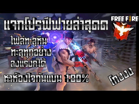 โปรฟีฟาย