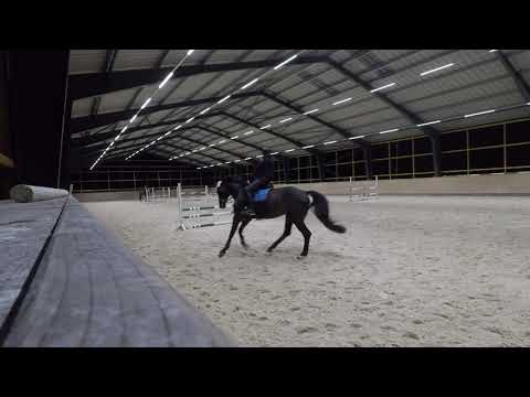 Springstunde Rudi 15 02 2019 3