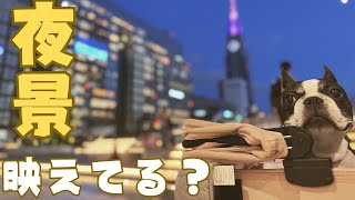 新宿の夜景が綺麗過ぎてびっくりした！😳💦
