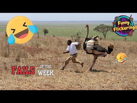 Hilarious Fails Compilation ep 27 : Best Funny Fails of Week | Funny Fails 2024 | Funny Flickerings