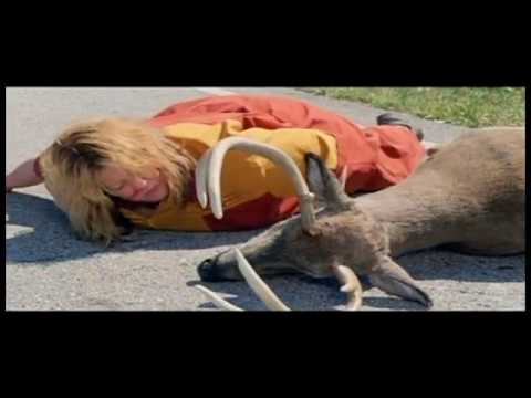 Tammy The  Movie Funny :-)