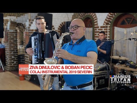 Ziva Dinulovic & Boban Pecic - Colaj instrumental 2019 LIVE SEVERIN TABOO