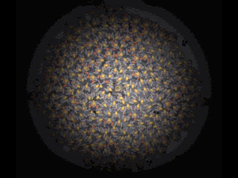 TONS of mechs!!!!   Mindustry #6 Timelapse