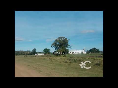 Video de YouTube - Campo forestal en Cerro Largo ref. 5270