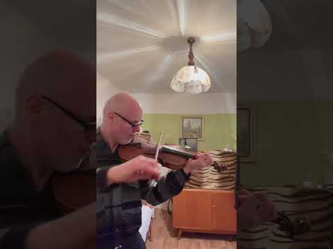 Narodilo se štěně - Werich - housle - samouk