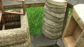 La propolis et ses bienfaits