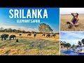 Trip To Srilanka Part 1 Elephant Safari