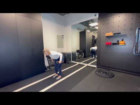 Dumbbell Double Arm Bent Over Row