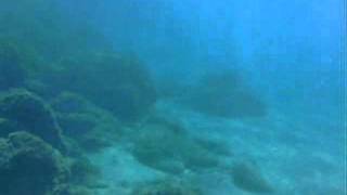 preview picture of video 'Walk to beach bottom Plomari - Βυθός παραλίας Αμουδέλι'