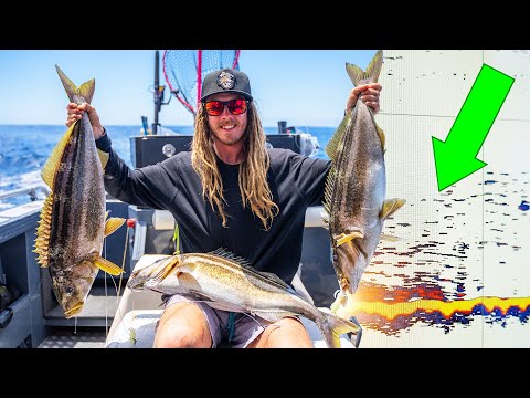 How to find fishing spots LIKE THIS! (NSS EVO3 Tutorial)