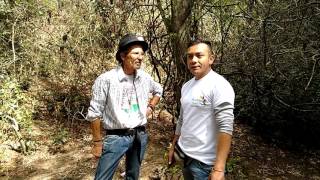 Pinturas Pabón plants native trees in Cota, Cundinamarca!