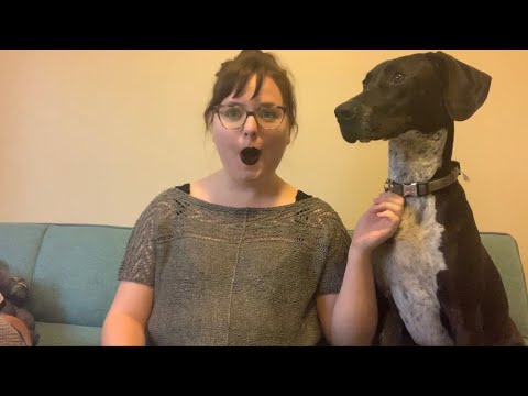 Skeinanigans Episode 4: NYC Duckling