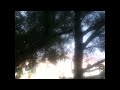 a red letter day - bother