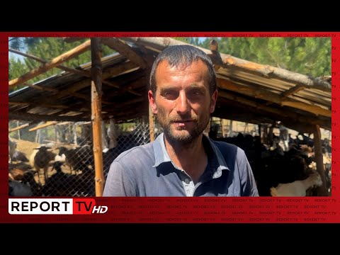 Shkodër/ Të shtëna në bjeshkët e Munellës! 37-vjeçari: Kemi konflikt me një bashkëfshatar, gjeta...