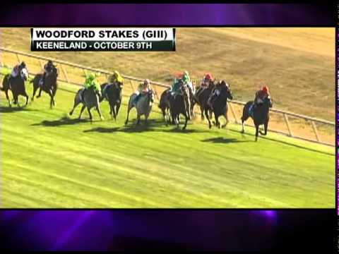 TVG 2010 Breeders' Cup Profile - Silver Timber