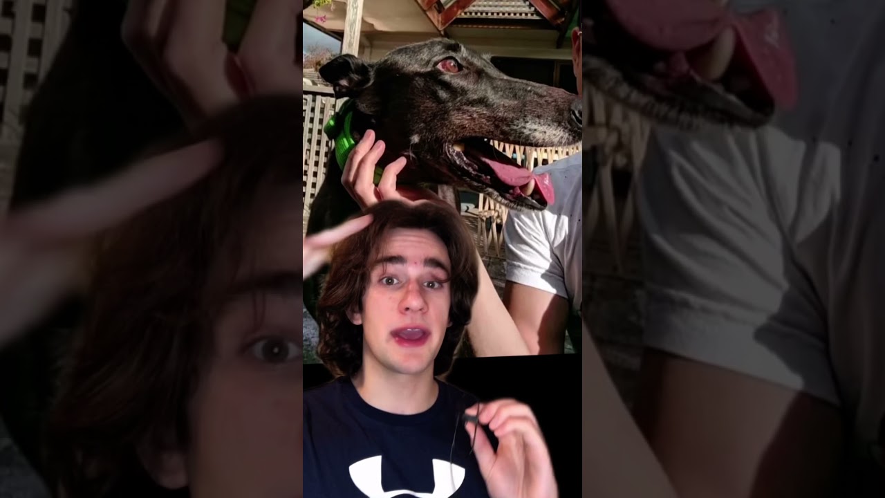 Most CONFUSING pics!🤯#shorts