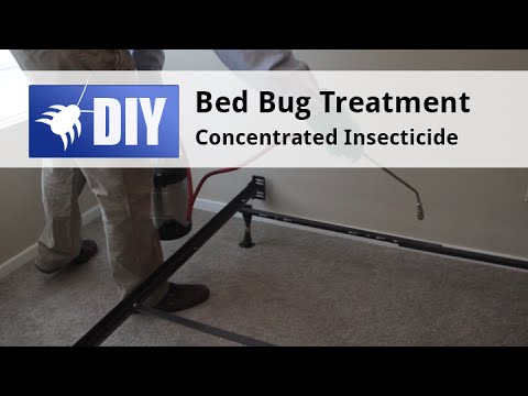  Bed Bug Treatment Step 3A Video 