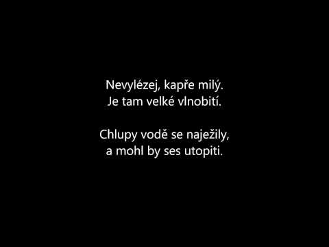 Jaromír Nohavica - Kapr + TEXT lyrics