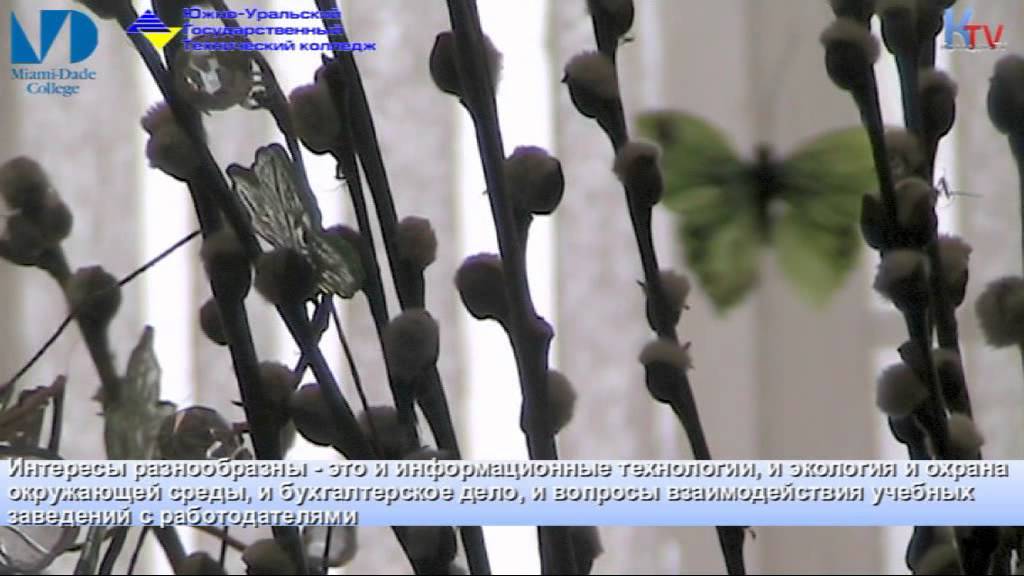 Колледж TV Фулбрайт