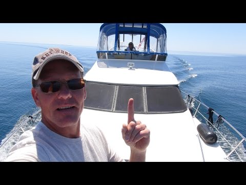 Boat Cruise Start To A Long Weekend On Boogaboo