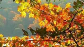 Autumn Leaves Music Video