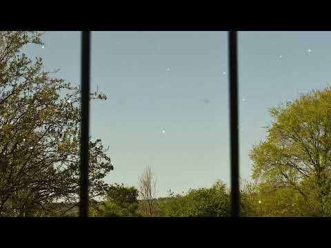 OLVR.S - A New Day [Official Audio]