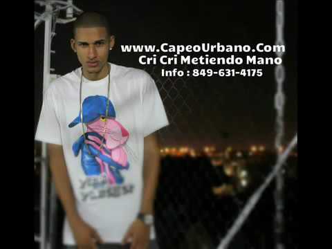 Black point ft químico y belén - 1 kilo entero