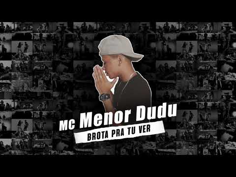 Menor Dudu - Brota pra tu ver ( DJ WS )