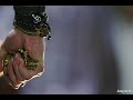 Heropanti Fight Scene