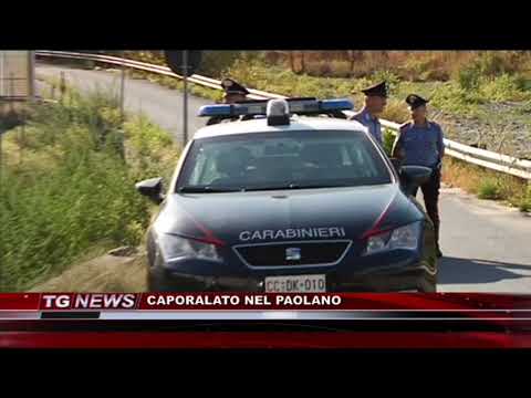 TG NEWS DEL 22 SETTEMBRE 2017 | IL VIDEO