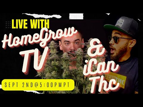 LIVE IN THE BASEMENT WITH HOME GROW TV AND ICAN THC