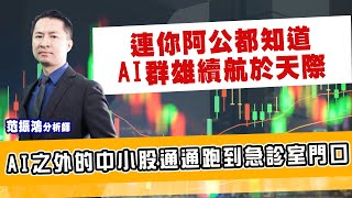 連你阿公都知道，AI群雄續航於天際AI之外的中小股通通跑到急診室門口｜海豚交易室｜范振鴻 (圖)
