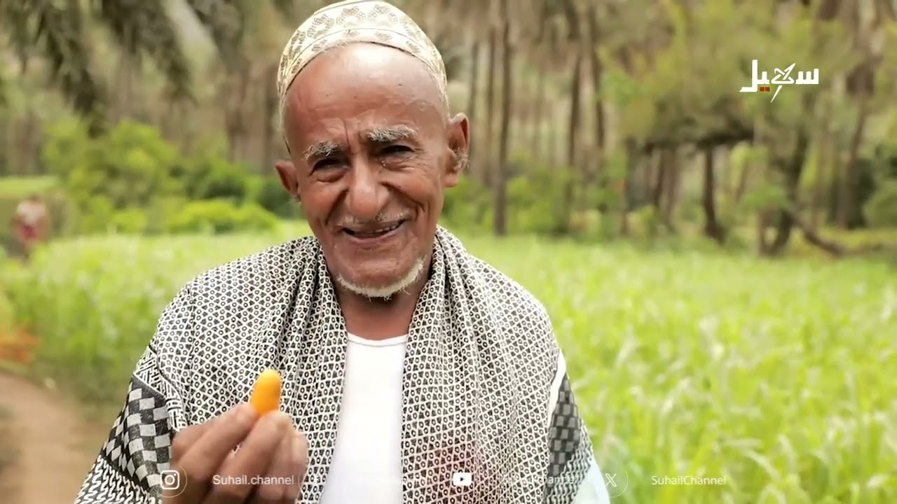 تمور تعز .. محصول موسمي يحاول الصمود واقفاً