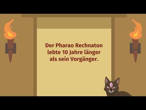 Terme mit Variablen aufstellen (Übungsvideo) einfach erklärt | sofatutor