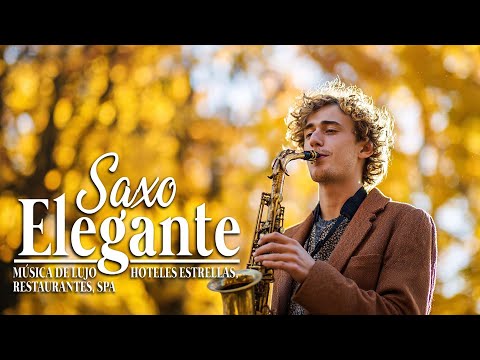 Las 20 mejores canciones de saxofón de todos los tiempos 🎷música melódica relajante