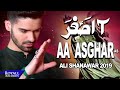 Ali Shanawar Aa Asghar 1441 2019
