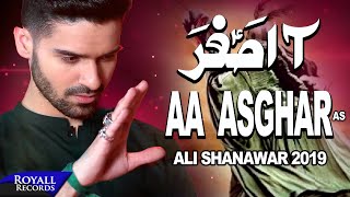 Ali Shanawar  Aa Asghar  1441 / 2019
