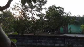 Download lagu Glatik wingko wucit full alasan mp3 Download lagu Glatik wingko wucit full alasan mp3