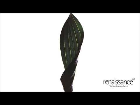 Renaissance The Mix Collection (Part 4) CD2