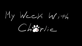 MY WEEK WITH CHARLIE TEASER