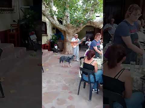 Rincón Suizo: a orillas del río Mina Clavero. Cordoba